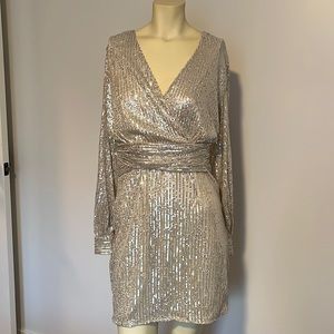 Silver Sequin Dress